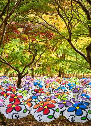 【水の家×芸術家ミレイヒロキ】伊豆高原五月祭にて大規模インスタレーションを開催「つながり・環境と生命」