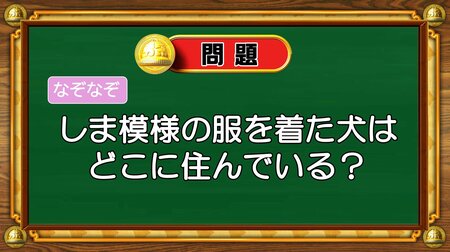 【おめざめ脳トレ】なぞなぞ！しま模様の服を着た犬はどこに住んでいるでしょう？【『クイズ！脳ベルSHOW』より】
