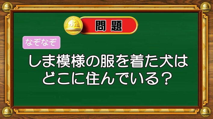 【おめざめ脳トレ】なぞなぞ！しま模様の服を着た犬はどこに住んでいるでしょう？【『クイズ！脳ベルSHOW』より】