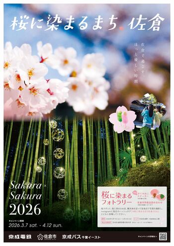 【千葉県佐倉市】「さくらのまち」佐倉でフォトラリー!「桜に染まるまち、佐倉2026」開催（3/7～4/12）