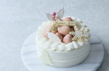 ホテル アゴーラ リージェンシー 大阪堺限定5台の「白苺のクリスマスショートケーキ」などホリデーシーズンを彩るクリスマスケーキ4種＆ブレッド5種を販売