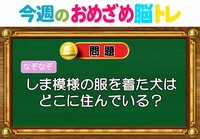 【今週のおめざめ脳トレ】しま模様の服を着た犬はどこ住み？2026年5月18日（月）～の問題をおさらい！【『クイズ！脳ベルSHOW』より】