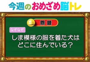【今週のおめざめ脳トレ】しま模様の服を着た犬はどこ住み？2026年5月18日（月）～の問題をおさらい！【『クイズ！脳ベルSHOW』より】