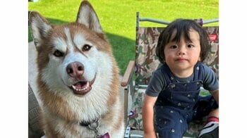 3歳ハスキーが1歳男の子に甘える“まるできょうだい”な姿に「これぞ尊い」とSNS悶絶！リラックスのあまり密着直後にまさかの扱い！？【激かわキッズ＆アニマル奇跡の瞬間】