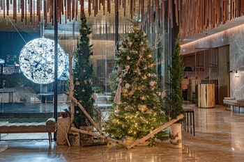 TIAD, AUTOGRAPH COLLECTION 2025クリスマスツリー＆ケーキのご案内