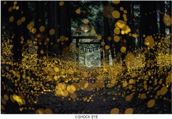 フジフイルム スクエア 企画写真展　SHOCK EYE写真展「和景讃歌」