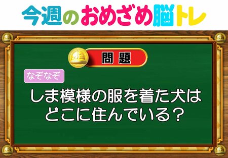 【今週のおめざめ脳トレ】しま模様の服を着た犬はどこ住み？2026年5月18日（月）～の問題をおさらい！【『クイズ！脳ベルSHOW』より】
