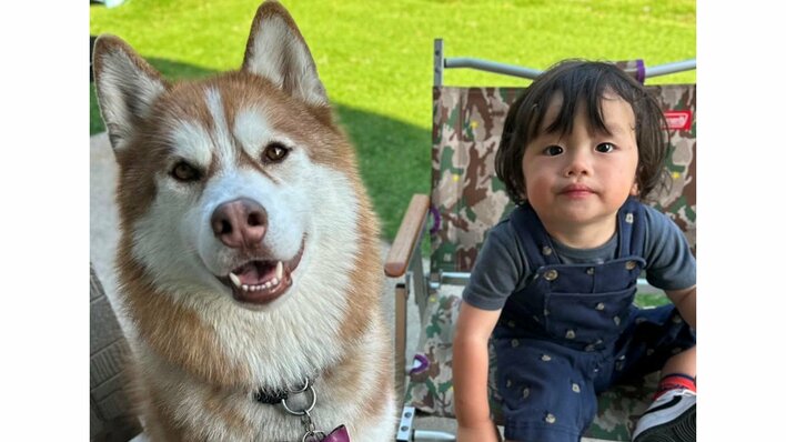 3歳ハスキーが1歳男の子に甘える“まるできょうだい”な姿に「これぞ尊い」とSNS悶絶！リラックスのあまり密着直後にまさかの扱い！？【激かわキッズ＆アニマル奇跡の瞬間】