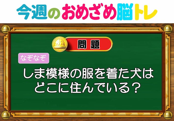 【今週のおめざめ脳トレ】しま模様の服を着た犬はどこ住み？2026年5月18日（月）～の問題をおさらい！【『クイズ！脳ベルSHOW』より】