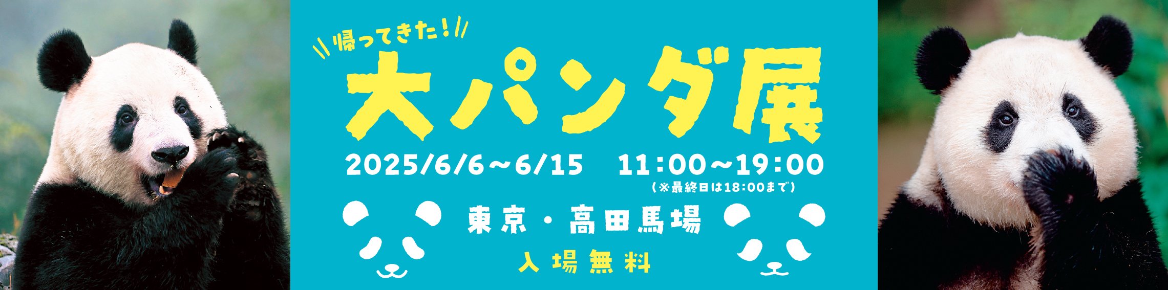 シャンシャン祝8歳！誕生日に話題の“あの大パンダ展”が帰ってき