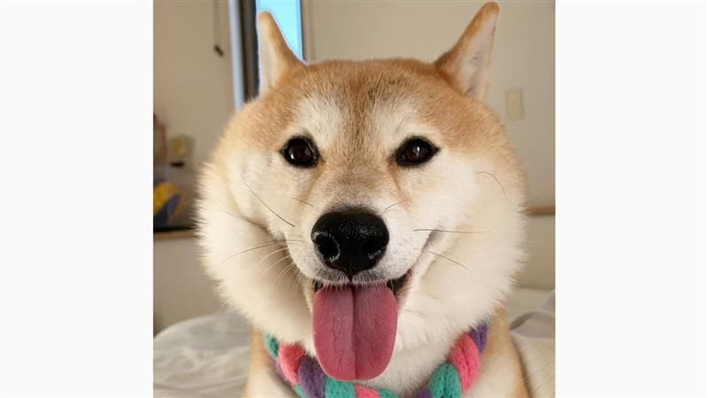 img_e4b1925d1e0659af995e17c743