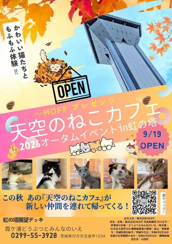 【大反響】あの空の上の猫カフェが帰ってくる！『天空のねこカフェ』第2弾、新たな仲間とともに9/19(土)OPEN！