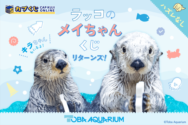鳥羽水族館☆限定☆メイちゃん キラちゃん 実写フェイス