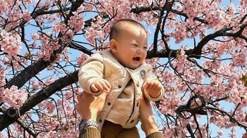 【赤ちゃん界隈大好物】よちよち歩いて無言でギュ～♡ママに甘える男の子が話題！「全てのストレスが発散した」「むりむりむりかわいすぎる！」【激かわキッズ奇跡の瞬間】