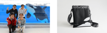 【神戸須磨シーワールドホテル】シャチとの出会いを思い出に　「シャチと一緒に思い出フォトプラン」と「シャチ柄サコッシュ付き家族プラン」を2025年12月13日（土）より予約販売開始