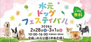 【水元ドッグフェスティバル】2026年2月28日・3月1日　開催決定！