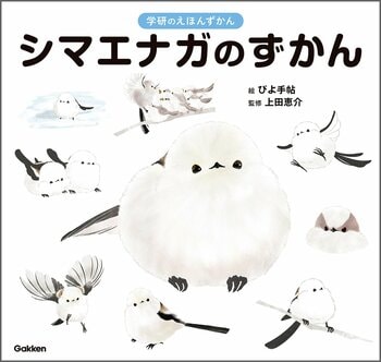 【シマエナガ好きに朗報！】1冊まるごとシマエナガ！　可愛すぎる『シマエナガのずかん』予約受付中！
