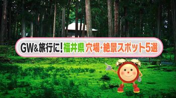 【穴場を厳選】福井県の絶景スポット５選 GWや初夏の旅行に！北陸新幹線が延伸開業 で大注目