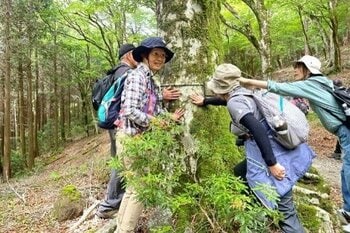 〈開催レポート〉「シカによる食害の現状と天城山の自然を現地で学ぶ」秘境八丁池を目指すトレッキングツアー