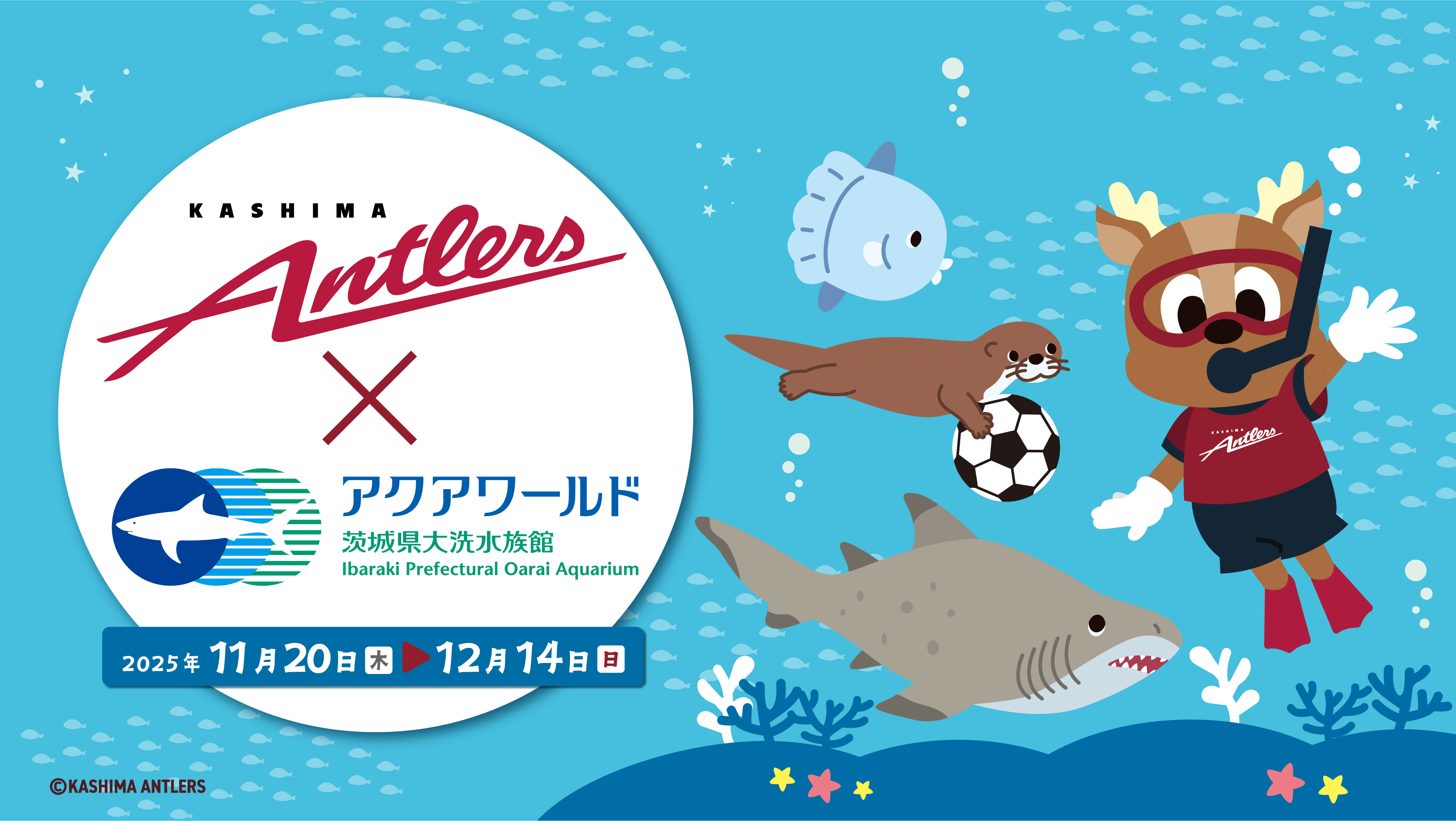 待望の初開催！茨城が誇るJ1クラブ鹿島アントラーズとのコラボ