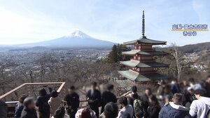 人気観光スポットの「桜まつり」中止決定　外国人観光客の“迷惑行為”急増か　不法侵入や無断駐車が後を絶たず…「何も言わずに玄関を開けて」【山梨県富士吉田市】