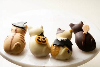 【両国・本所吾妻橋】焼き菓子専門店「BROWN TABBY」から、秋限定&ハロウィンコレクションが登場！コウモリ羽や魔女になった子猫フィナンシェなど、今だけの贅沢スイーツ