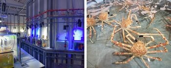 【フェアフィールド・バイ・マリオット 道の駅プロジェクト】 触れて、学んで、発見する！水族館バックヤードツアー開催