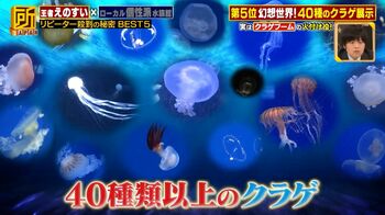 冬休みのレジャーにも最適！「新江ノ島水族館」「幼魚水族館」