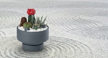 「小さな日本庭園」を部屋に置く。「和モダン」サボテンで静けさを飾る─農園直送で叶える、本格的な和の佇まい