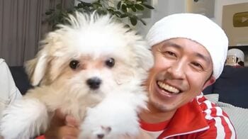 カジサック　ついに“8人家族”に！チワワ×マルチーズの愛犬を迎えいれ　かわいすぎる姿に「超癒される」