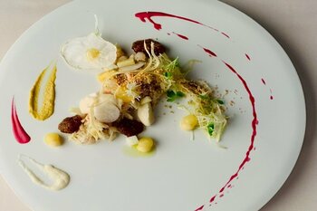 【新プラン登場】淡路島のオリーブ園で野菜やハーブを駆使した料理が楽しめるスペシャルプラン。丘の上に広がるグランピング施設【Olive Glamp淡路島 Virgin Valley（バージンバレー）】