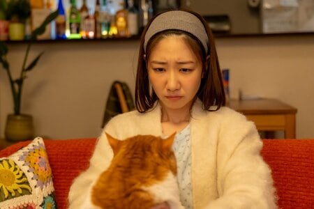 柏木由紀＆浪川大輔よりコメント「人と人、人と猫のあいだにある微妙な関係性が、丁寧にそして魅力的に描かれています」『元カレの猫を、預かりまして。』