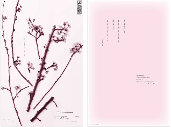 『徳島県植物誌』 阿部近一　～「牧野富太郎博士 剣山で行方不明に」の顛末も 徳島県植物誌』 阿部近一 「牧野富太郎博士 剣山で行方不明に」の