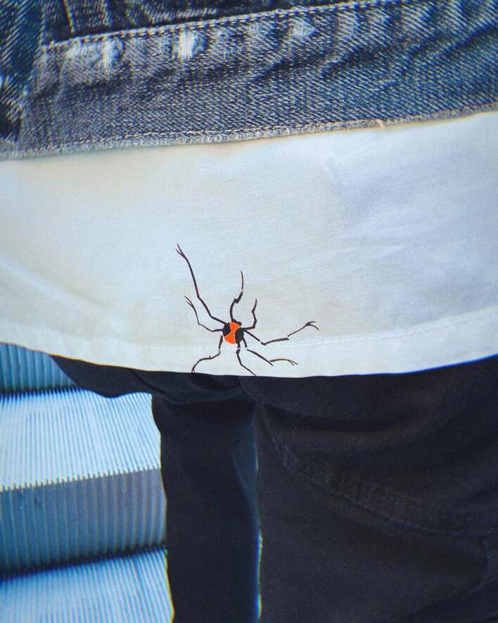 叫んで逃げそう」神宮寺勇太 平野紫耀が苦手な“クモ”のヴィンテージ