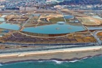９月２３日(水・祝)「石巻復興の森育樹祭２０２６」を開催