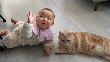 猫の前足を触りたい生後6ヵ月女の子vs触らせない猫のかわいすぎる“攻防”に反響！何度“猫パンチ”されてもめげずに接近する様子に「一生見てられる」「癒される♡」【激かわキッズ＆アニマル奇跡の瞬間】