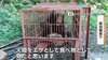 【恐怖】「人間を“エサ”として見た」北海道・新聞配達の男性がクマに襲われ死亡　周辺で目撃情報相次ぐ　専門家も警鐘「再び起きる可能性がある」