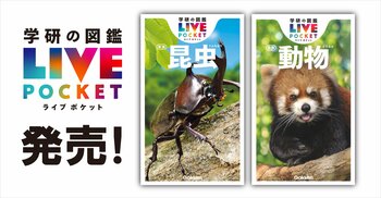 【持ち歩きにぴったりの図鑑】『学研の図鑑LIVEポケット 昆虫 新版』『動物 新版』が全国の書店・ネット書店で同時発売！