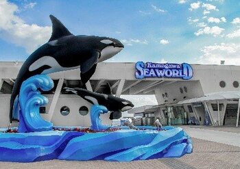 【JAF千葉】鴨川シーワールドでJAF会員向けイベント「夜の鴨シー探検プラン」開催決定！閉館後の水族館を巡る特別なプログラム
