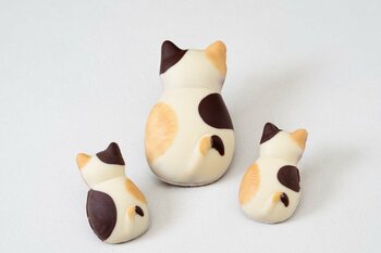 【両国発の人気焼き菓子専門店】猫フィナンシェと和モダン焼き菓子の「BROWN TABBY」が本所吾妻橋に２号店を出店。厳選素材と和モダン空間で、日常に贅沢なひとときを。