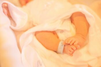 動物作家が教える「小さく生まれる赤ちゃん」の話。人間は本来もう一年胎内で成熟すべきだった？