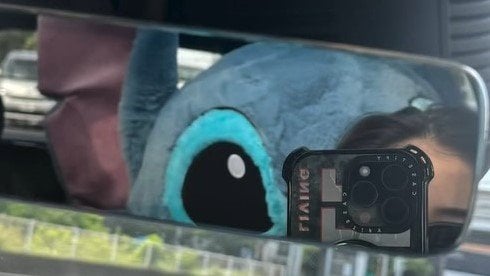 デッカっっ」みちょぱが買った“超特大スティッチ”に反響 「これは