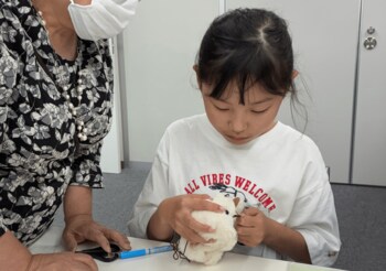 【こどもの休日の過ごし方】11/8出発 選べるテディベア作り体験スクール