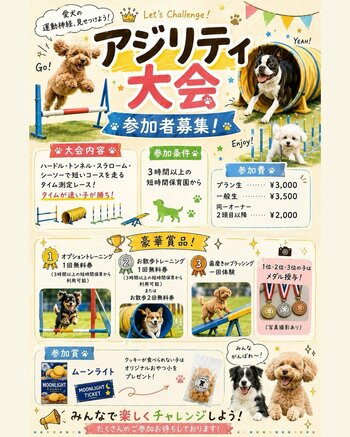【Pets Tokyo 豪徳寺2号店】運動の秋🍁 アジリティー大会！