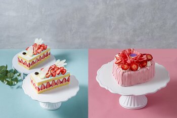 こいのぼりケーキと母の日ケーキの予約をスタート