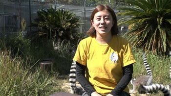 「日本モンキーセンター」飼育員・田中ちぐさが自身に課す“セブンルール”「猿をかわいがらないことが飼育のモットー」