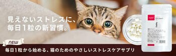 「乳酸菌H61株」を配合した猫用サプリメントtama「ストレスケア」