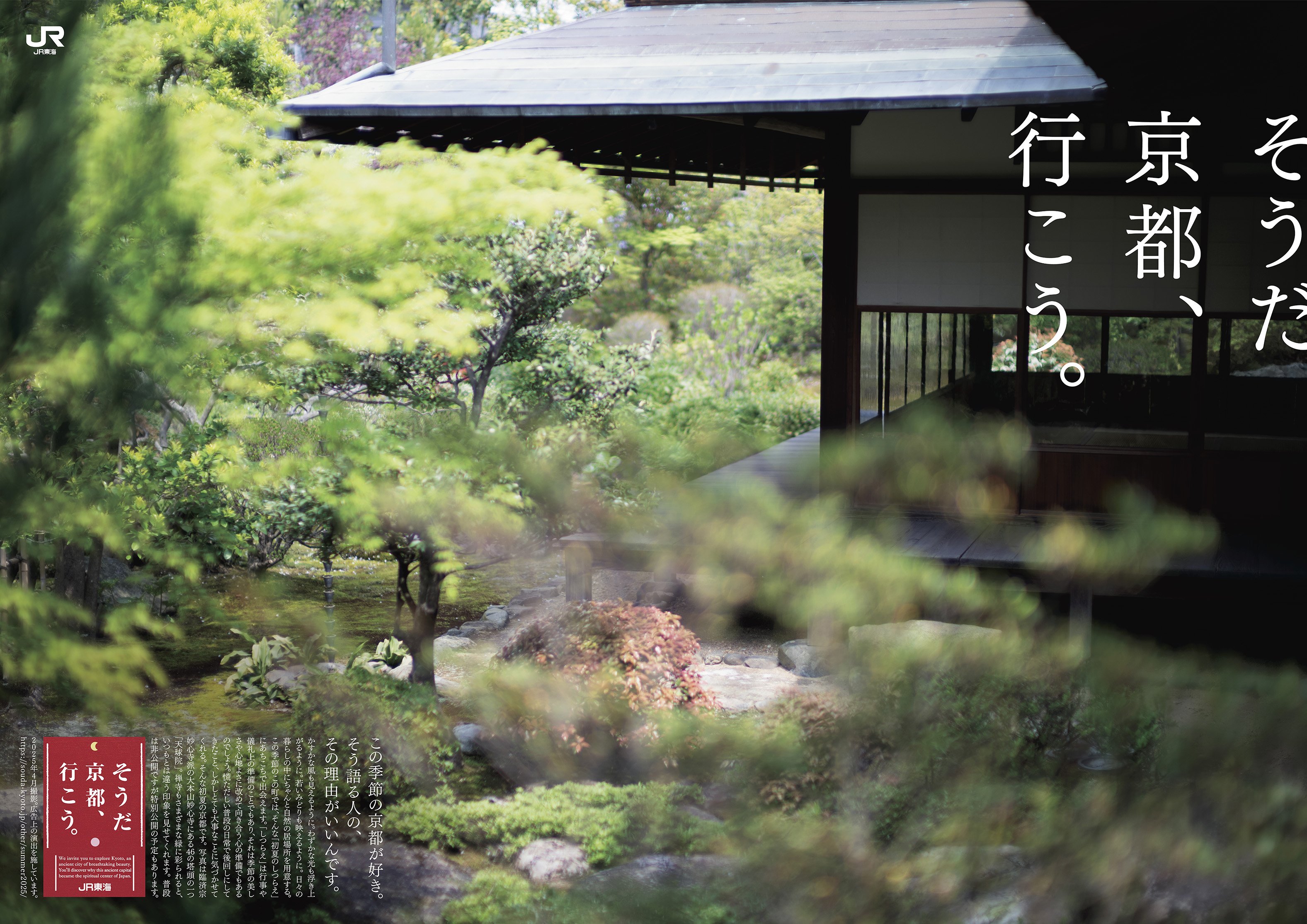 そうだ 京都、行こう。」キャンペーン 2025年初夏編2025年5月30日（金