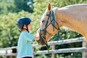 【リゾナーレ八ヶ岳】知れば知るほど馬がもっと好きになる。 馬の身体や心にじっくり向きあう「Horse Academy～夏休みの自由研究～」開催