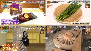 栃木VS茨城！ライバル県の“日本の夏を支える”魅力を大調査